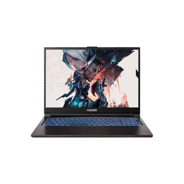 Купить Ноутбук игровой HASEE T8-DA9NT, 16 ", NVIDIA GeForce RTX 3060, 16 ГБ RAM, [1746038], цены, характеристики, доставка по РФ
