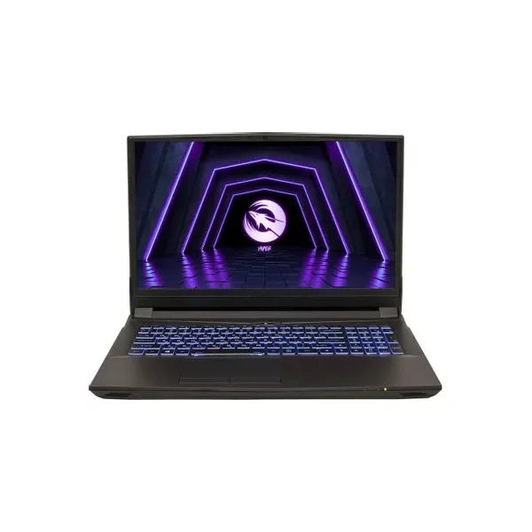 Купить Ноутбук игровой HIPER G16, 16.1 ", NVIDIA GeForce RTX 3070, 16 ГБ RAM, [G16RTX3070B10400LX], цены, характеристики, доставка по РФ