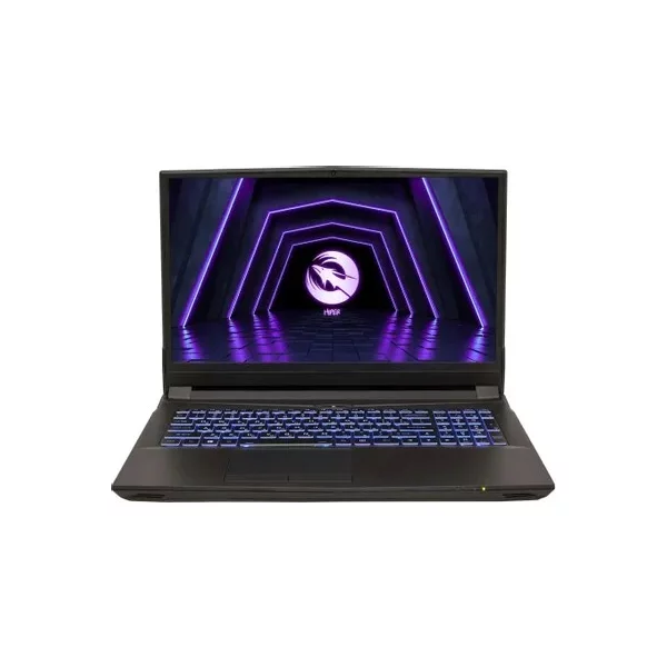 Купить Ноутбук игровой HIPER G16, 16.1 ", NVIDIA GeForce RTX 3070, 16 ГБ RAM, [G16RTX3070A10400W11], цены, характеристики, доставка по РФ